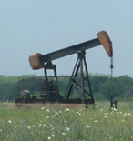 A Pump Jack operating in a field